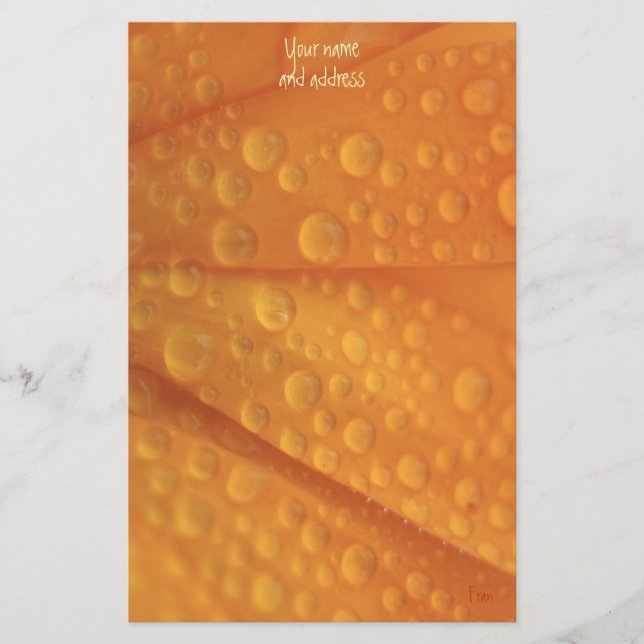 fizzie orange stationery (Front)