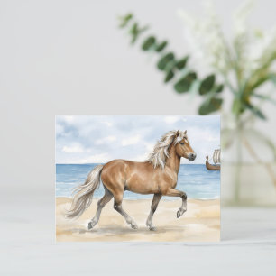 Fjara Icelandic Horse watercolor on the Beach Postcard