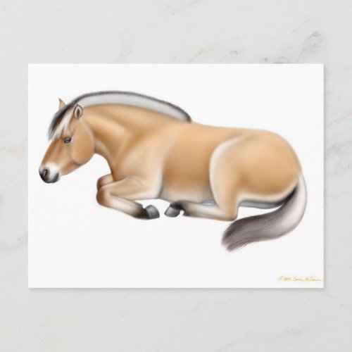 Fjord Horse at Rest Postcard