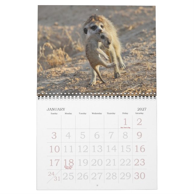 FKMP Meerkats 2013 Calendar (Jan 2027)