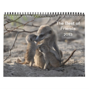 FKMP Meerkats 2013 Calendar