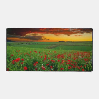 FL0WERS at SUNSET Desk Mat