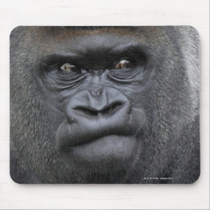 Flachlandgorilla, Gorilla Mouse Pad