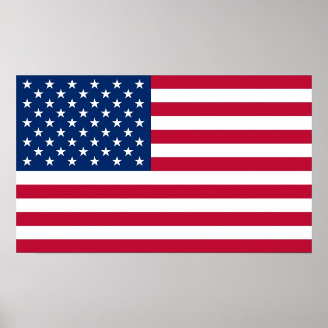 Flag America American country travel Poster (Front)