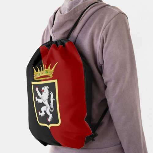 Flag and Coat of arms of Valle dAosta Italy Drawstring Bag