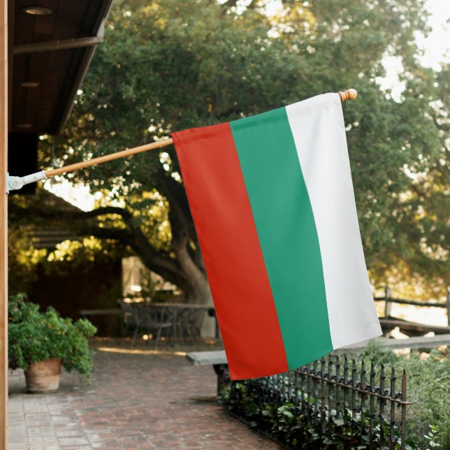 Flag Bulgaria tricolor (In SItu)