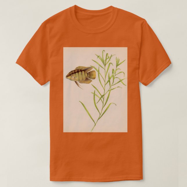 Flag cichlid Mesonauta festivus T-Shirt (Design Front)