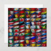 Flag collection (Front/Back)