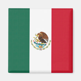 Flag Mexico Tricolor Magnet