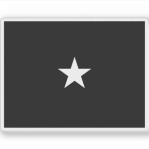 Flag of a U.S. Space Force brigadier general Sticker