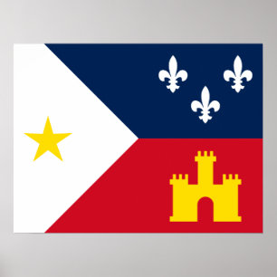 Flag of Acadiana Poster
