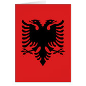 Flag of Albania (Front)