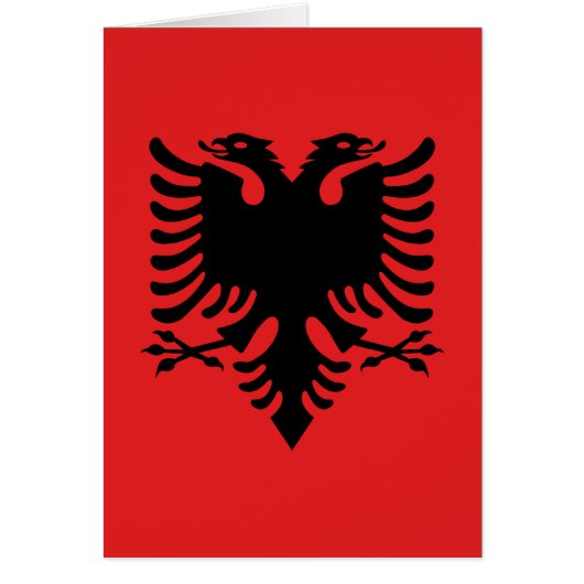 Flag of Albania (Front)