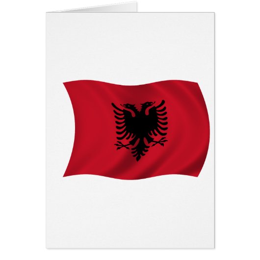 Flag of Albania Cards (Front)