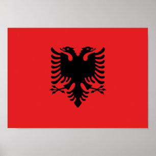Flag of Albania - Flamuri Kombëtar - Albanian Fla Poster