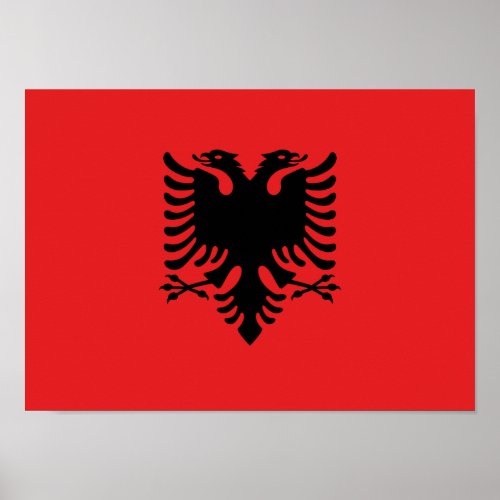 Flag of Albania _ Flamuri Kombtar _ Albanian Flag Poster