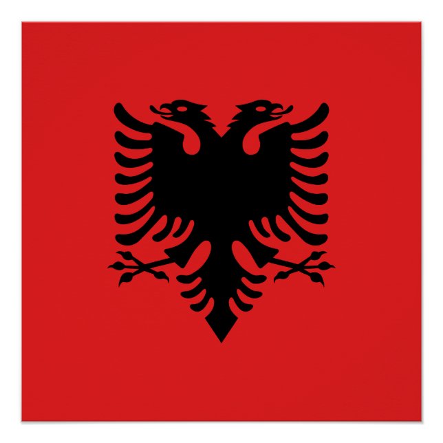 Flag of Albania Poster (Front)