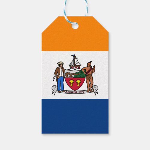 Flag of Albany New York Gift Tags