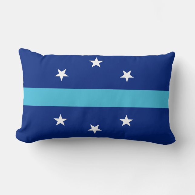 Flag of Anaheim, California Lumbar Pillow (Front)