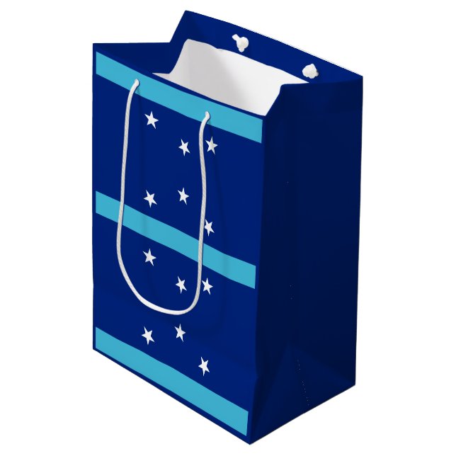 Flag of Anaheim, California Medium Gift Bag (Front Angled)