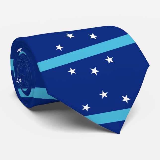 Flag of Anaheim, California Neck Tie (Rolled)