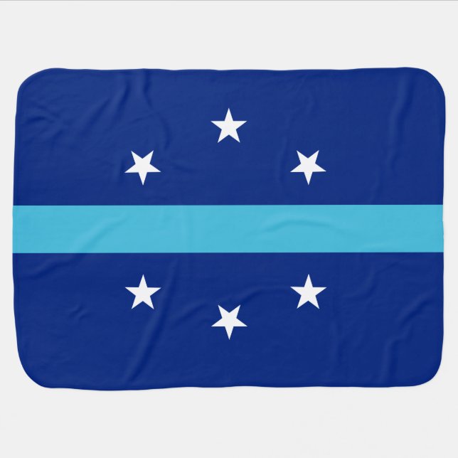 Flag of Anaheim (California, USA) Baby Blanket (Horizontal)