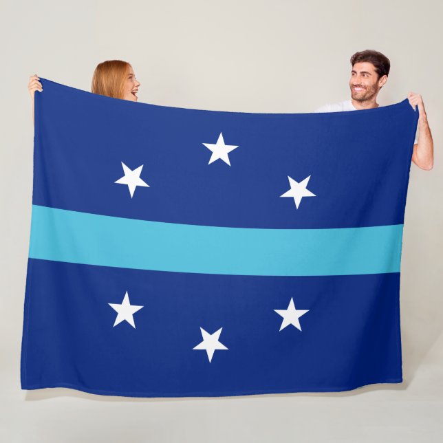 Flag of Anaheim (California, USA) Fleece Blanket (In Situ)