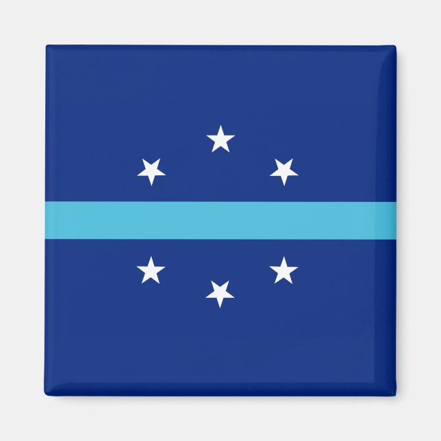 Flag of Anaheim (California, USA) Magnet (Front)