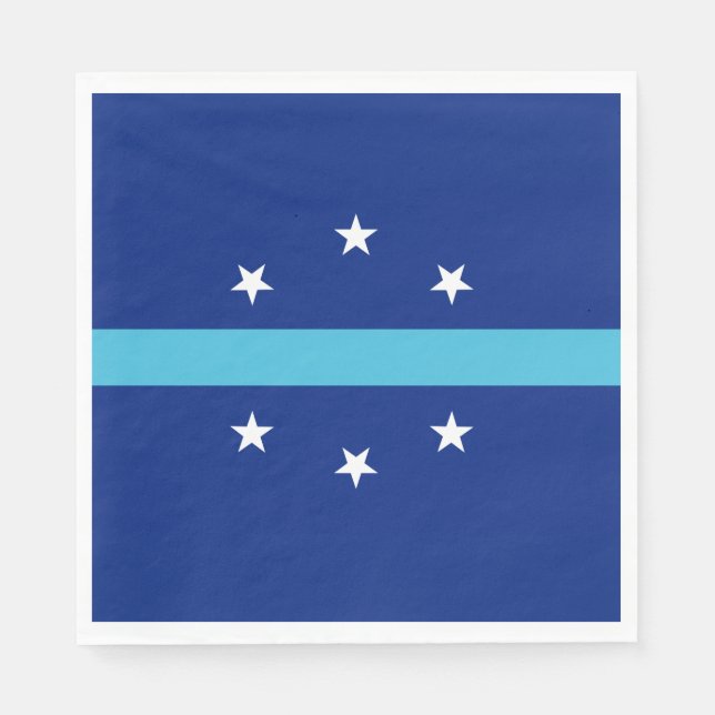 Flag of Anaheim (California, USA) Napkins (Front)