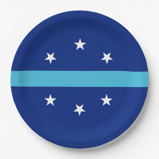Flag of Anaheim (California, USA) Paper Plates (Front)