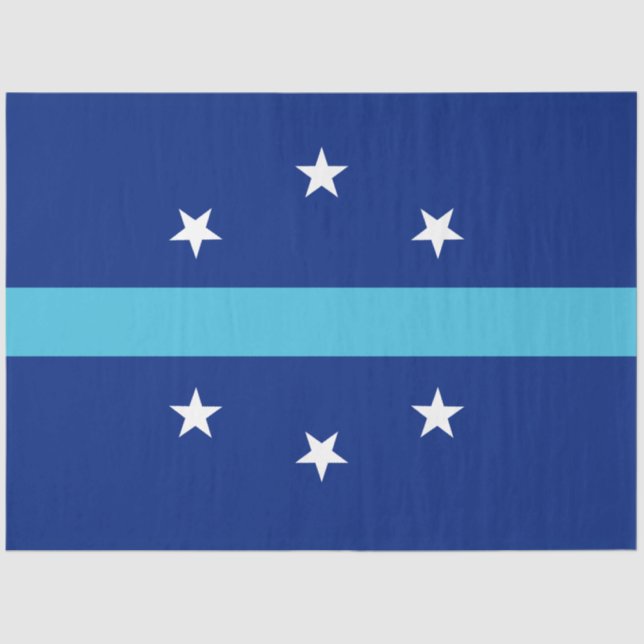 Flag of Anaheim (California, USA) Tissue Paper (Front)