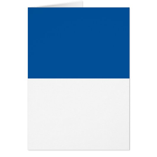 Flag of Assen (Front)