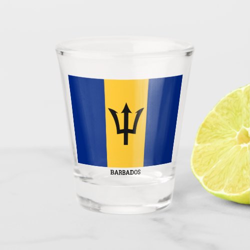 Flag of Barbados Shot Glass