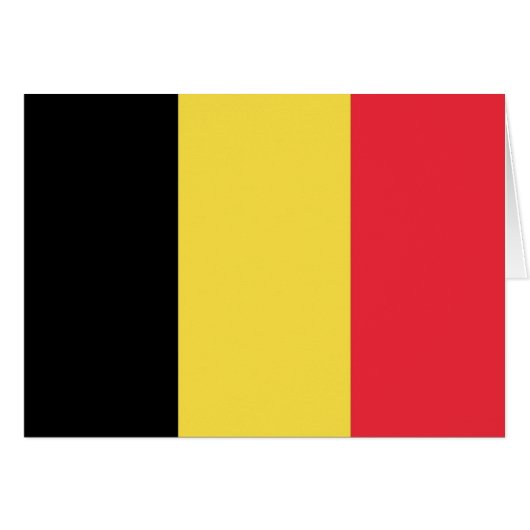 Flag of Belgium (Front Horizontal)