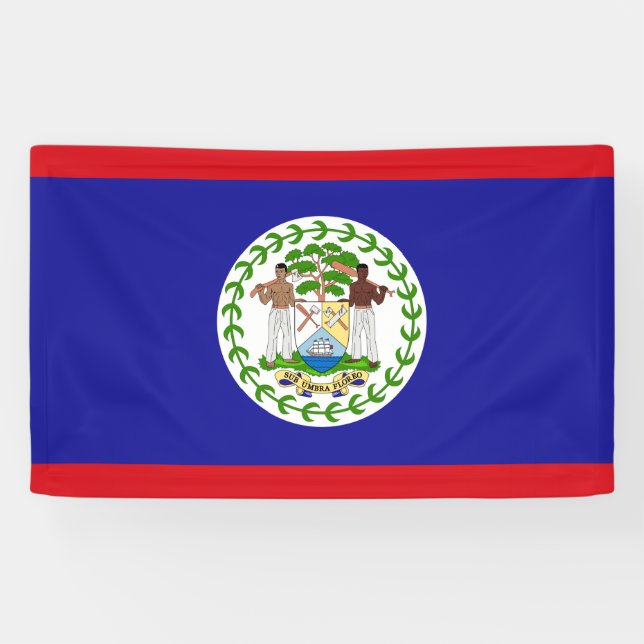 Flag of Belize Banner (Horizontal)