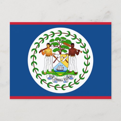 Flag of Belize Postcard