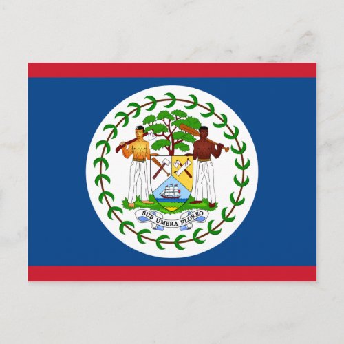 Flag of Belize Postcard