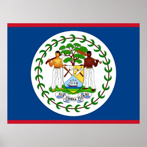 Flag of Belize Poster