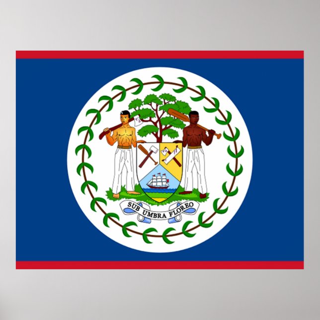 Flag of Belize Poster (Front)