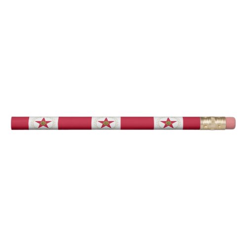 Flag of Birmingham Alabama Pencil