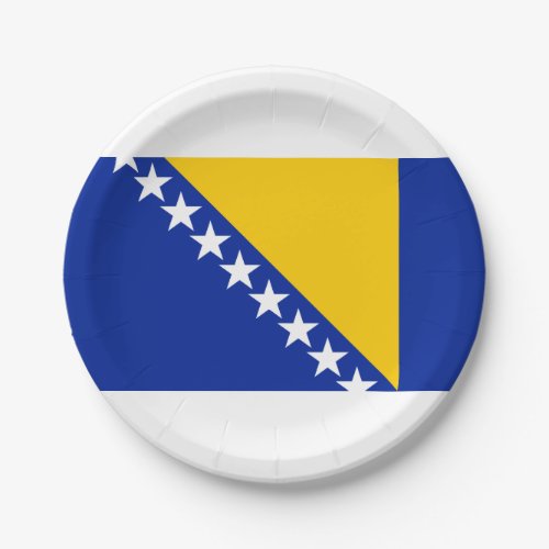 Flag of Bosnia and Herzegovina Paper Plates