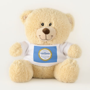 Flag of Boston, Massachusetts Teddy Bear