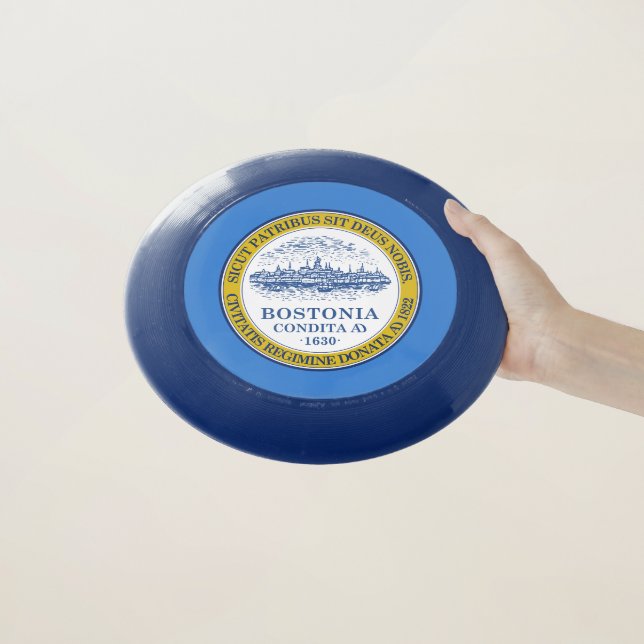 Flag of Boston, Massachusetts Wham-O Frisbee (In Hand)