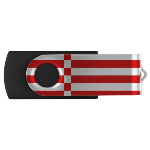 Flag of Bremen USB Flash Drive