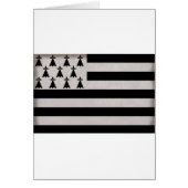 Flag of Brittany (Front)