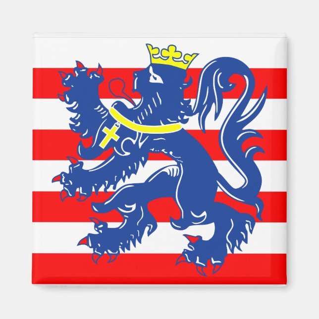 Flag of Bruges/ Brugge, Belgium Magnet (Front)