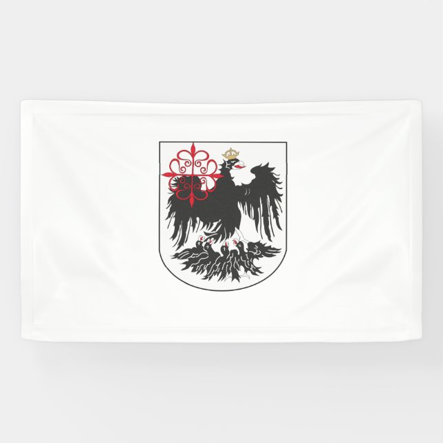 Flag of Buenos Aires (Argentina) Banner (Horizontal)