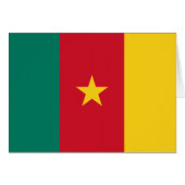 Flag of Cameroon (Front Horizontal)