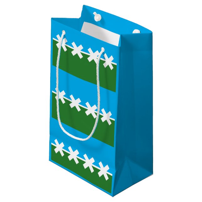 Flag of Cedar Park, Texas Small Gift Bag (Front Angled)