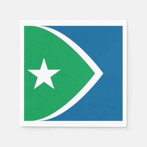 Flag of Cedar Rapids Iowa Napkins